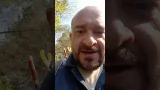местные комары надавали по щам