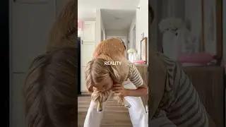 Expectations vs reality 🥹🐾🤍✨