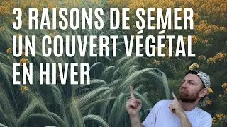 UN COUVERT VÉGÉTAL POURQUOI FAIRE ?