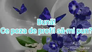 Ce poza de profil să-mi pun?Intrați pe al doilea canal(descriere)
