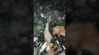 Трудно быть оператором    