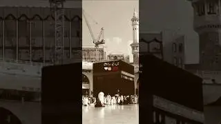 TRUST ALLAH #viral #foryou #islam #muhammadﷺ #allah #madina #trustallah
