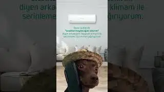 Baymak Klima