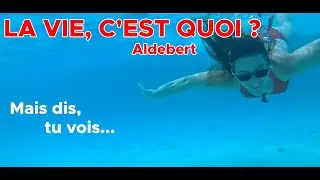 La vie, c'est quoi ?