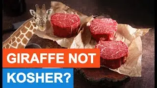 Do Not ADD or TAKE AWAY From Torah!