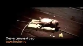 Очень сильный сыр