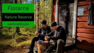 Florarna & Gammelåkojan