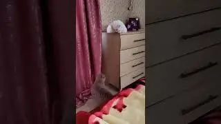 😂😂😂 Главней всего, погода в доме!!!