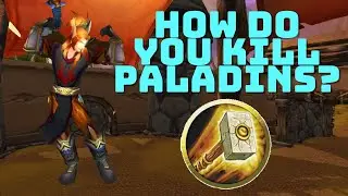 How to Kill Paladins in TBC Arena PvP