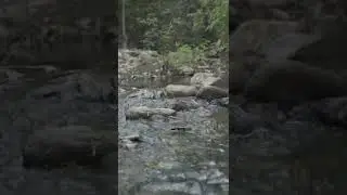Beautiful Nature Water Flowing Video | 