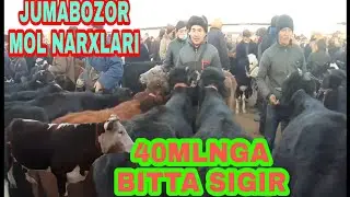 TAYLOQ TUMANIDAGI JUMABOZOR MOL BOZOR NARXLARI