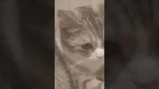 Муэдзин кричит гроза громыхает