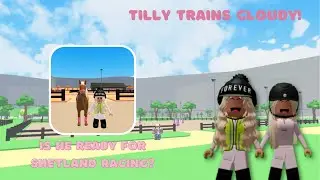 Tilly trains Cloudy! ✨*Is he ready for Shetland racing?*✨ || Horse Valley Episode 38