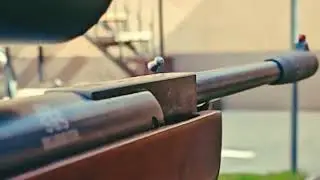 air rifle barrel vibrations at 980fps