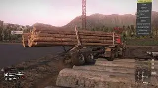 Problemas con la carga de troncos largos en el trailers