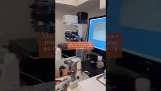 Personalized IVF care at CHR