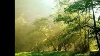 Enigma Shadows in Silence