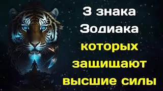 Нострадамус назвал 3 знака Зодиака которых защищают высшие силы