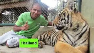 Thailand January 2011