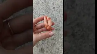 nice meeting passion genitals pussy penis 18+ necklace pendant brooch hairpin jewellery fuck