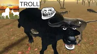 We troll and have fun on the wild savannah