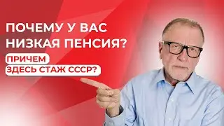 ВИНОВАТЫ ПЕНСИОНЕРЫ ➡️СОЦПЕНС.РФ