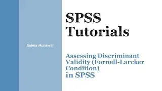 SPSS: Fornell-Larcker condition