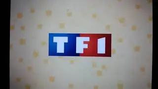 TF1/YTV/LuxAnimation/TeamTO/Nelvana (2010