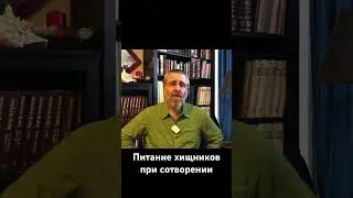 Питание хищников при сотворении