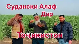 ФЕРМЕРО БКОРЕН ,,СУДАНКАРА,,