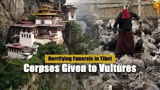 Horrifying Funerals in Tibet, Bodies Given to Vultures | Discover Me
