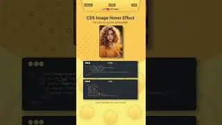 Awesome Image Hover Effects Using Only HTML & CSS! 
