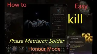 How to easy kill Phase Matriach spider honour mode