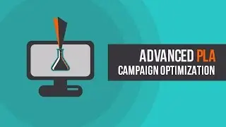 Advanced Google Shopping Campaign Optimization (PLAs)