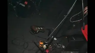The Glue - Dolly