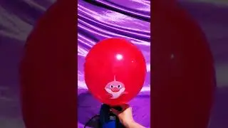 BABY SHARK BALLOON INFLATION AND DEFLATION!!!