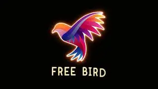 Bird Colorful