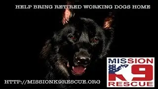 Mission K9 Rescue • Help A Retired Working Dog Today