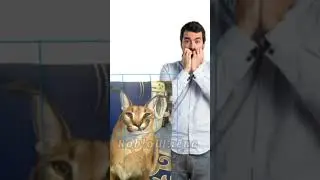 Шлёпа стал охранником😅  #шлепа #прикол #рекоминдации