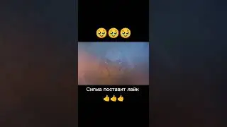 Сигма поставит лайк👍#шутка #standoff #подпишись