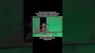 С этим сталкивается каждый ищущий духовной реализации. Читай описание