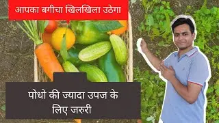 Benefits of Phosphorous | पौधो की जान | कब, कैसे और कितना डालना हे ? जानिए सबकुछ