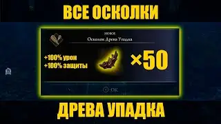 Elden Ring Shadow of the Erdtree - Все осколки Древа Упадка (Гайд)