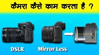 How do DSLR and Mirrorless cameras work? | Explain through animation | Which camera is the best?