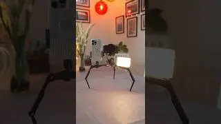 Leofoto Mini Tripod