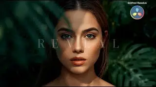DaVinci Resolve: Soft Reveal