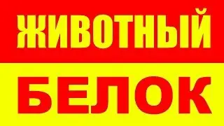 РАСТИТЕЛЬНЫЙ БЕЛОК ИЛИ ЖИВОТНЫЙ - В ЧЕМ РАЗНИЦА МЕЖДУ РАСТИТЕЛЬНЫМ И ЖИВОТНЫМ БЕЛКОМ