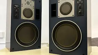 Техническое прослушивание и видео презентация акустики Technics SB-M5!