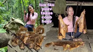 yos hav zoov kab puav ntsau lom zem kawg /27/7/2022