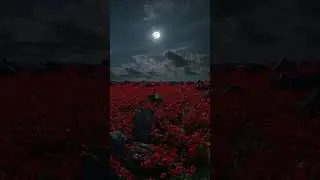 NEW REMIX SHORTS VIDEO SONG 2024 #viral #viralvideo #shorts